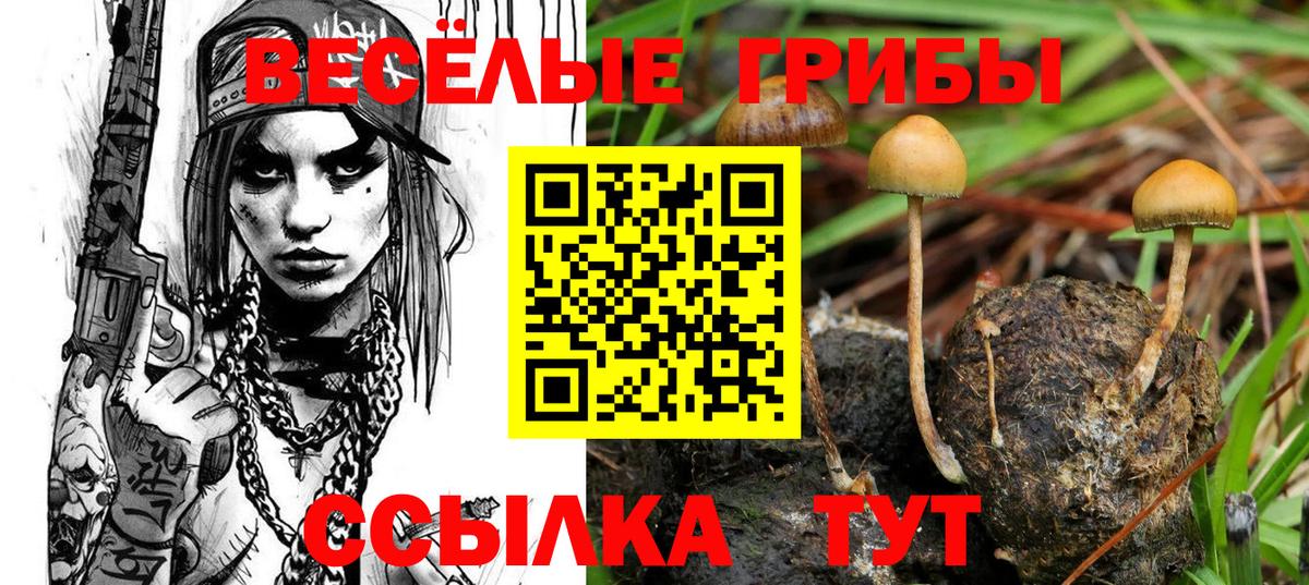 Псилоцибиновые грибы MAGIC MUSHROOMS Моршанск