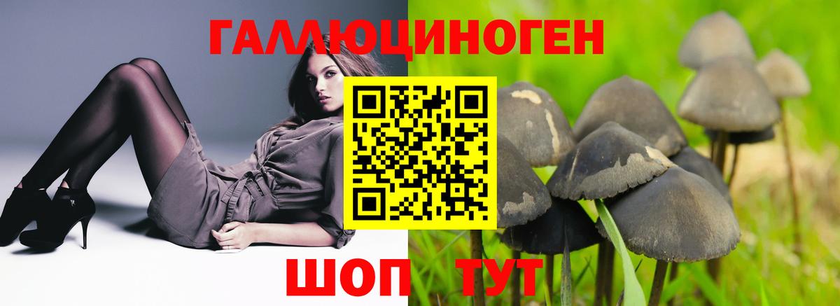 Галлюциногенные грибы Psilocybine cubensis  Вход с VPN  Псилоцибиновые грибы прущие грибы  купить закладку  Моршанск 